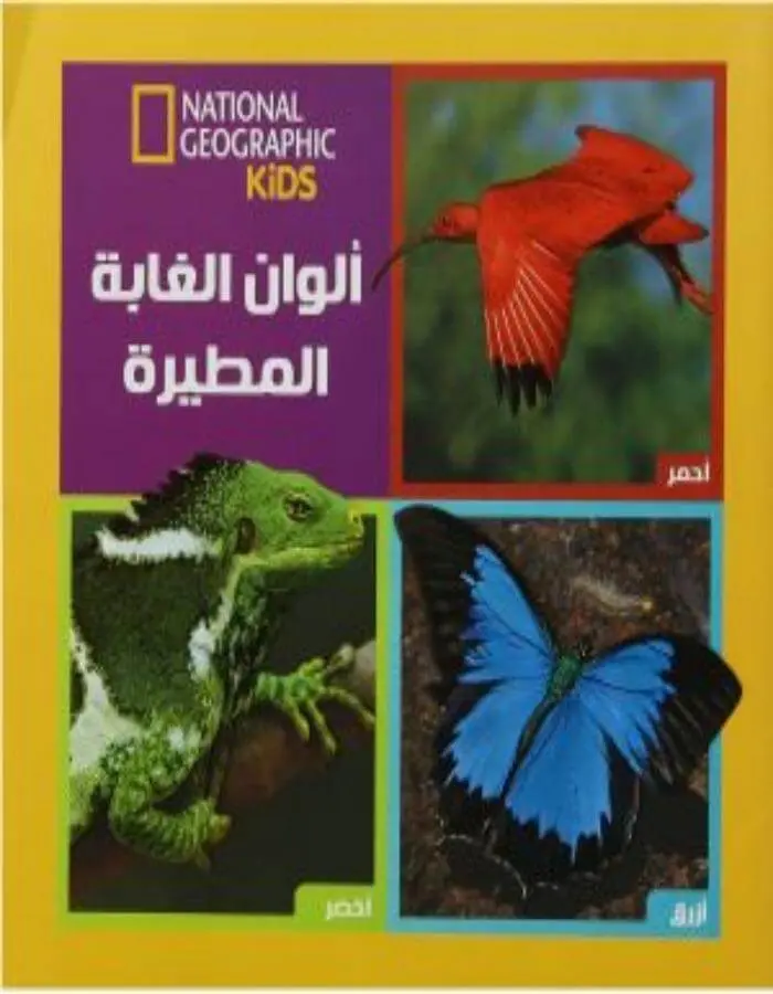 ألوان الغابة المطيرة