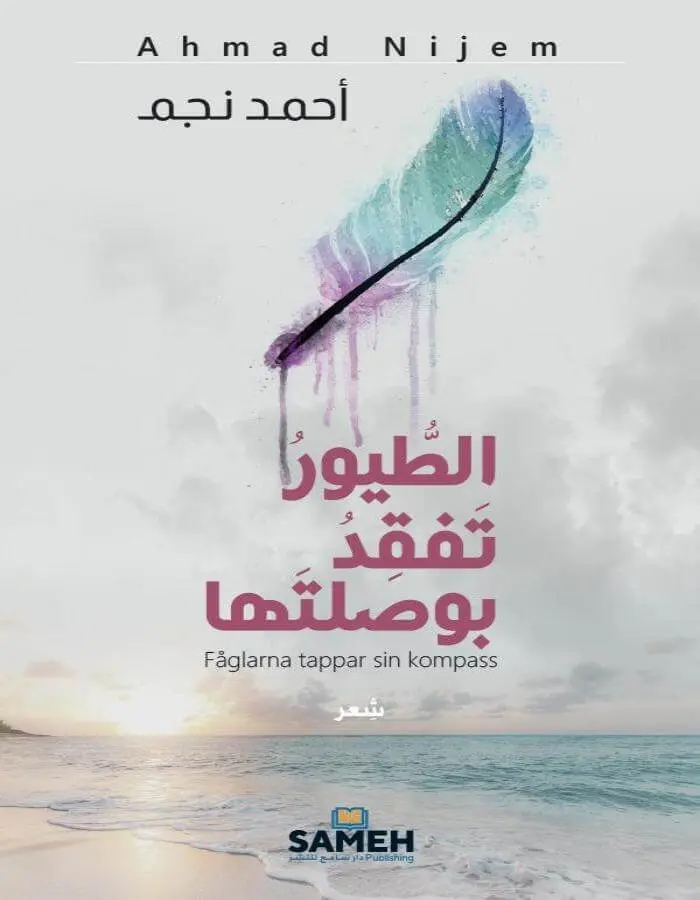 الطيور تفقد بوصلتها - أحمد نجم