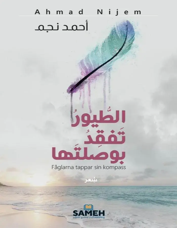 الطيور تفقد بوصلتها - أحمد نجم