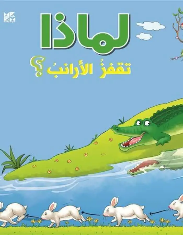 سلسلة الأسئلة